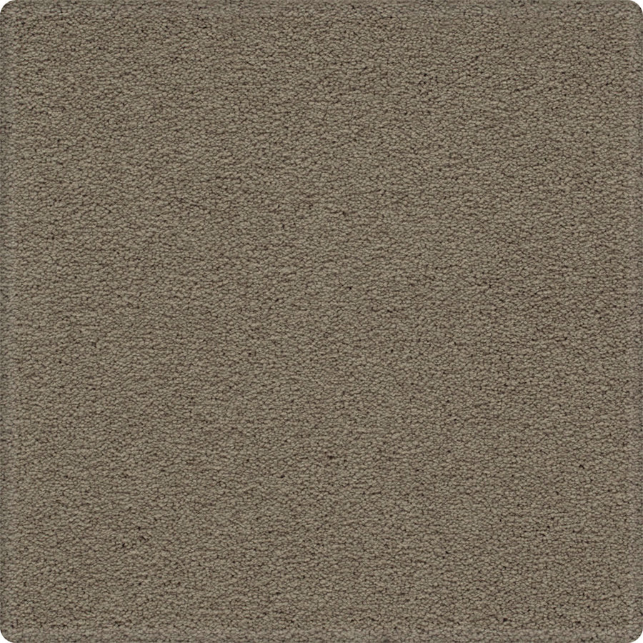 A close-up of the Dynamic Display Family Friendly Carpet reveals a textured, light brown surface—soft, durable, and easy-care with no visible patterns—making it a decorator’s dream for any home.