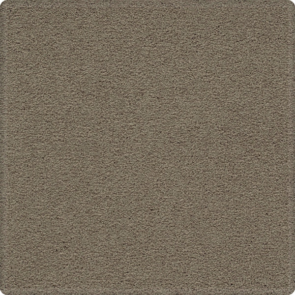 A close-up of the Dynamic Display Family Friendly Carpet reveals a textured, light brown surface—soft, durable, and easy-care with no visible patterns—making it a decorator’s dream for any home.