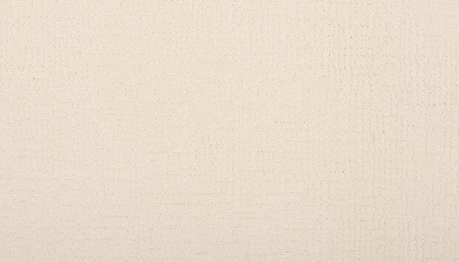 Delicate Features Family Friendly Carpet