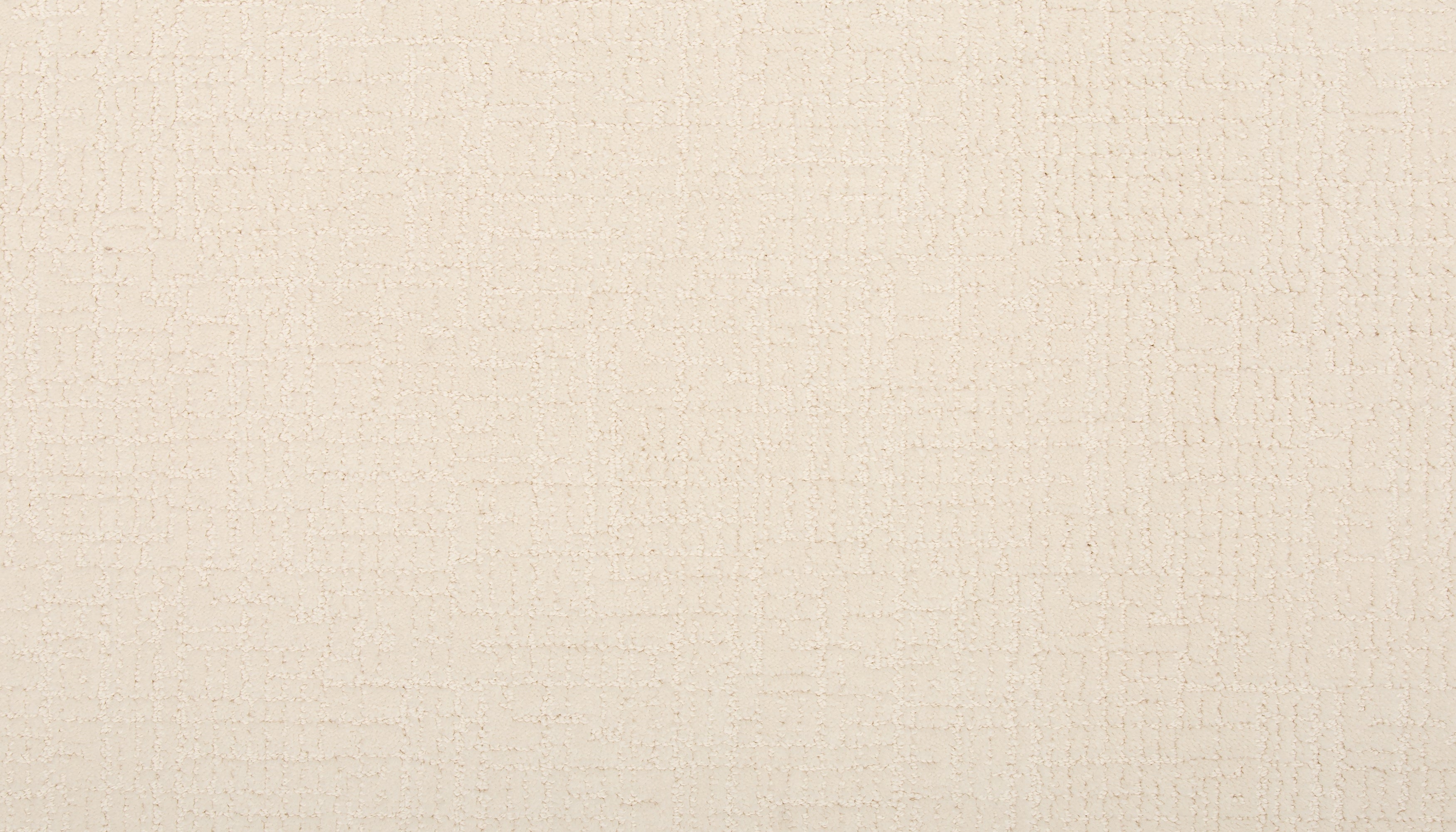 Delicate Features Family Friendly Carpet