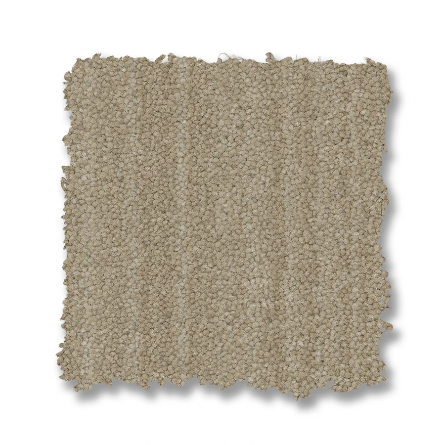 A square swatch of Magnifique On Trend Carpet in beige is shown on a white background, featuring a looped, tightly woven texture and rough edges that add timeless beauty and inviting texture to any space.