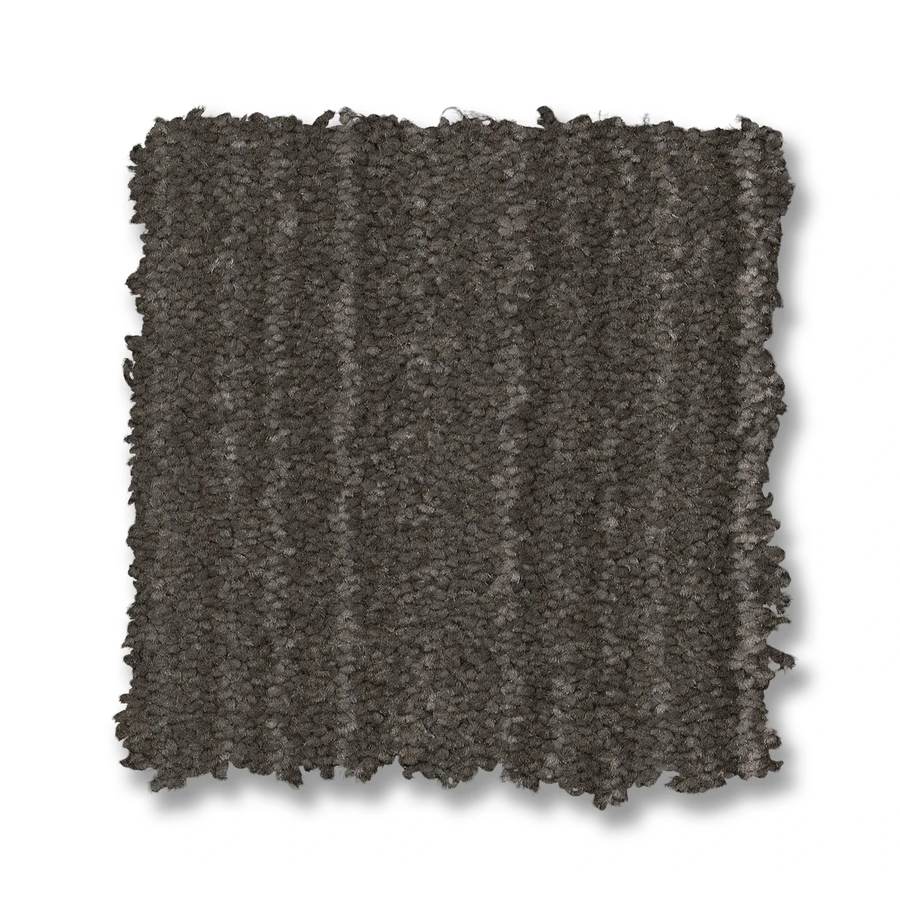 A square swatch of Magnifique On Trend Carpet in dark gray with a shaggy, textured surface is shown on a white background—this stylish carpet adds timeless beauty to any home’s decor.