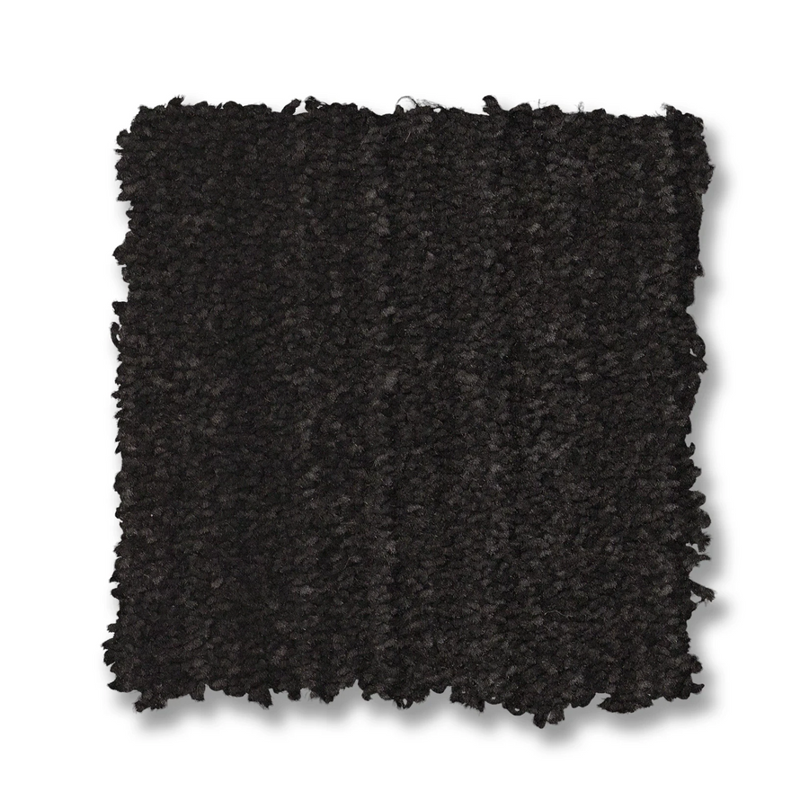 A square sample of Magnifique On Trend Carpet features a dark, textured shaggy plush surface, highlighting modern style and timeless beauty on a white background.
