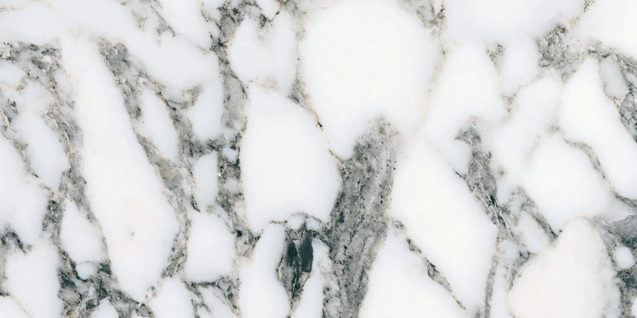 The Monte Carlo 12x24 Matte Porcelain Tile features a white marble look with irregular dark gray and black veining, capturing natural beauty and luxury in a striking, abstract texture.