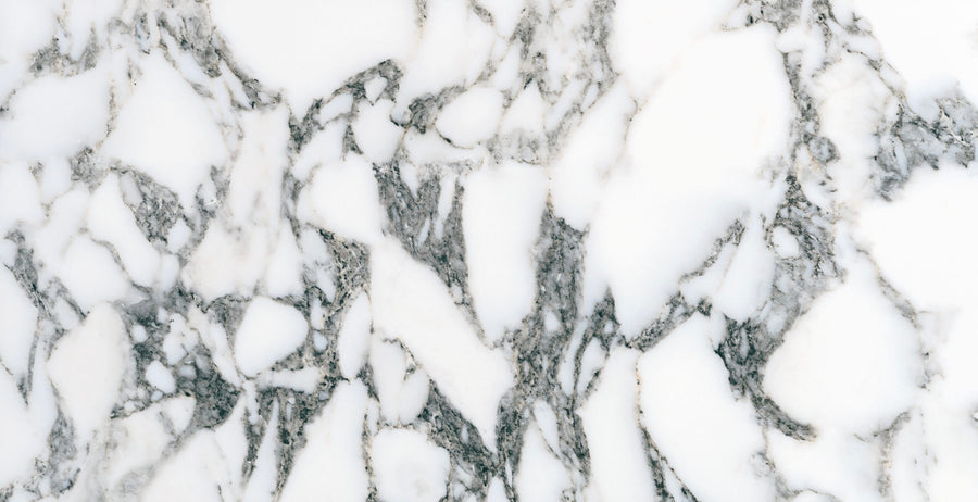 Monte Carlo 24x48 Polished Porcelain Tile features a white marble-look surface with dark and light gray veining, offering a natural, textured style perfect for luxurious tile accents or elegant home flooring.