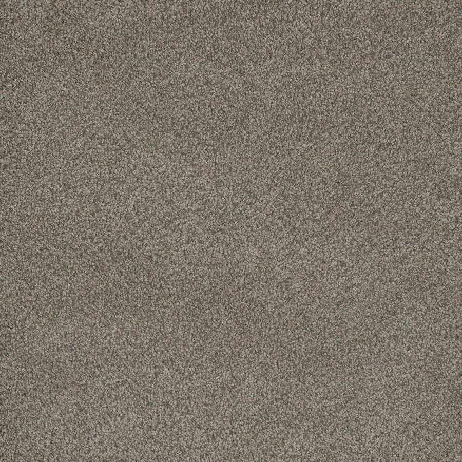 Monte Carlo III Family Friendly Carpet