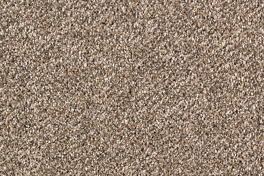 Close-up of Nature's Majesty Family Friendly Carpet, featuring beige and light brown flecked fibers for a soft, speckled surface—ideal for any family space.