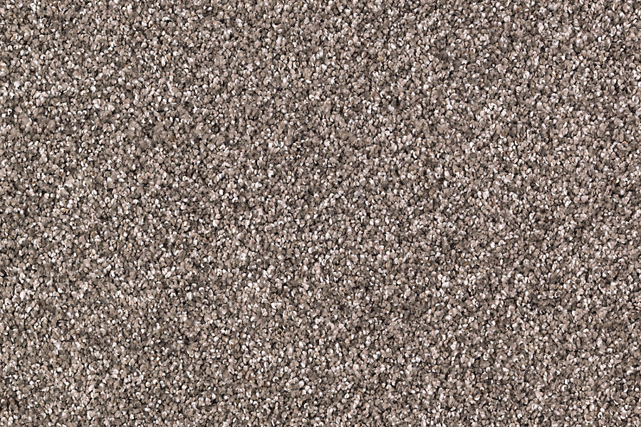 Close-up of Nature's Majesty Family Friendly Carpet in beige-brown, featuring dense, soft, slightly flecked plush fibers for a cozy and neutral look—ideal for comfortable living spaces.