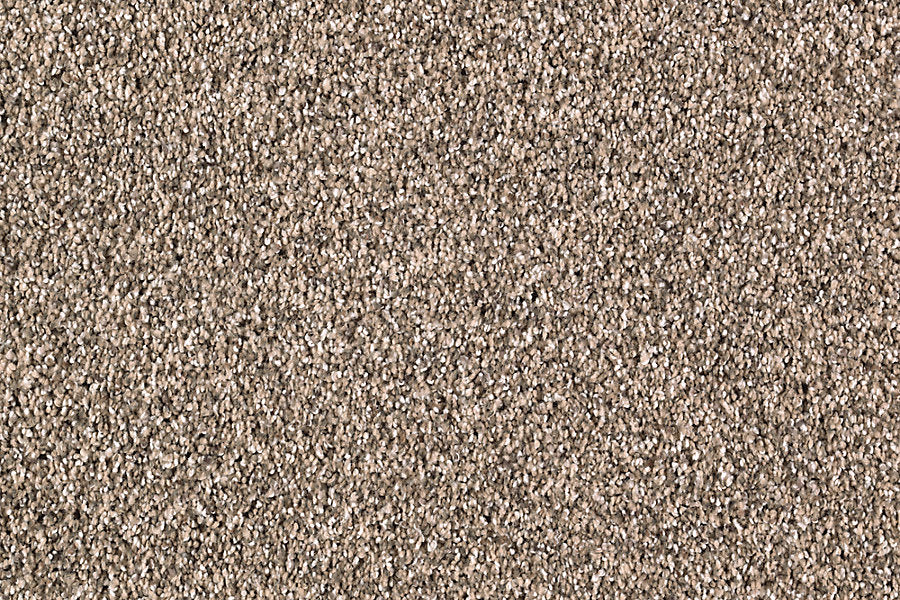A close-up of Nature's Majesty Family Friendly Carpet highlighting its beautiful flecked design.