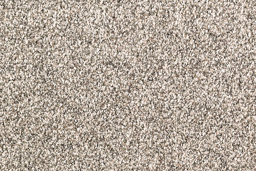Close-up of Nature's Majesty Family Friendly Carpet in beige, showcasing a soft, textured surface with tightly woven fibers and a subtle flecked design inspired by nature—perfect for family spaces.