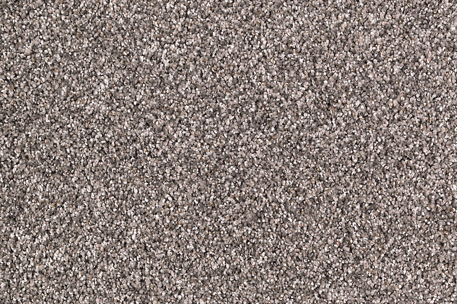 Close-up view of Nature's Majesty Family Friendly Carpet, featuring densely packed, short fibers and a flecked light gray design for a soft, uniform surface.