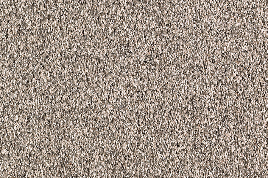 Close-up of Nature's Majesty Family Friendly Carpet, showcasing its textured beige loop pile with a flecked design and small, tightly woven fibers. This soft, neutral-toned carpet is inspired by nature.