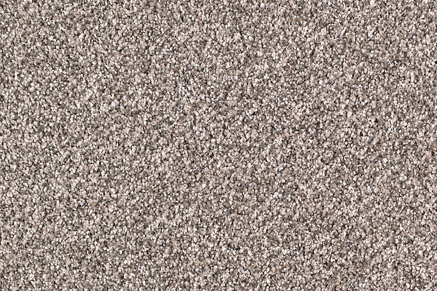 Close-up view of Nature's Majesty Family Friendly Carpet, showcasing a flecked design in light brown and beige tones with tightly woven fibers for a soft, uniform surface.