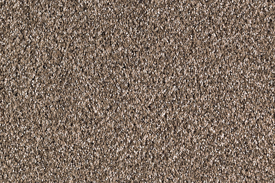 Close-up view of Nature's Majesty Family Friendly Carpet, showcasing tightly woven, textured fibers with a flecked pattern for a uniform, speckled look in varying brown and beige shades.