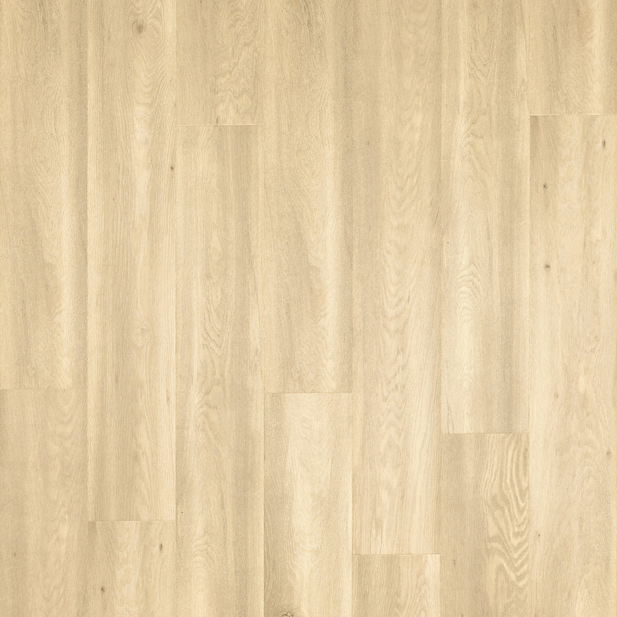 Miramar Cliffs 8.34" Waterproof Laminate features a light wood look with natural grain, subtle texture, and scratch protection. Its evenly arranged planks deliver a clean, minimalist style—ideal for any luxury home.