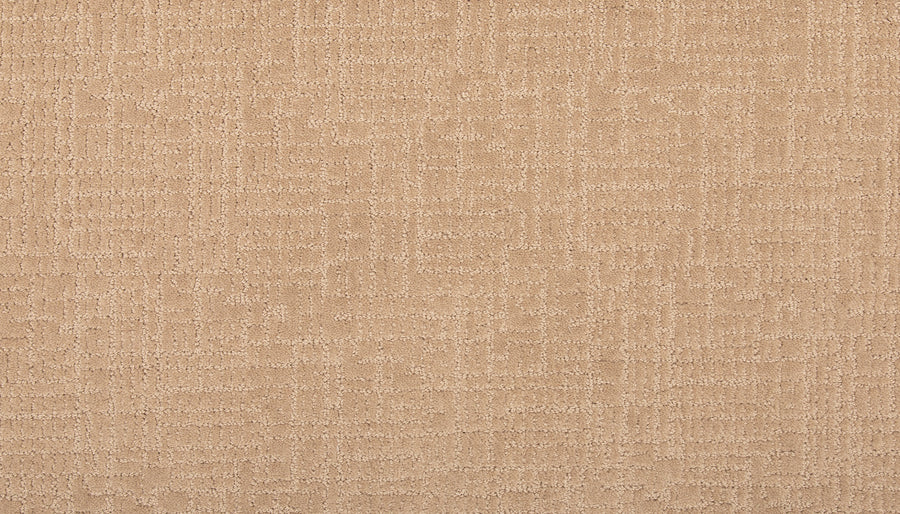 Delicate Features Family Friendly Carpet is a beige textured SmartStrand carpet featuring a subtle, irregular geometric pattern. Its soft, neutral look is stain resistant and ideal for family spaces.