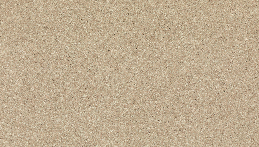 Romantic Getaway Family Friendly Carpet