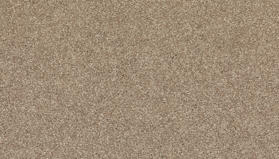 Romantic Getaway Family Friendly Carpet