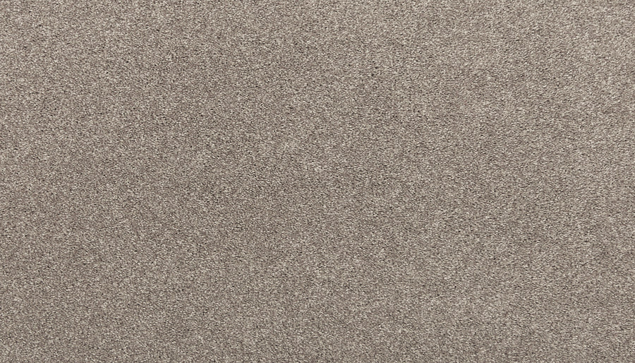 Romantic Getaway Family Friendly Carpet