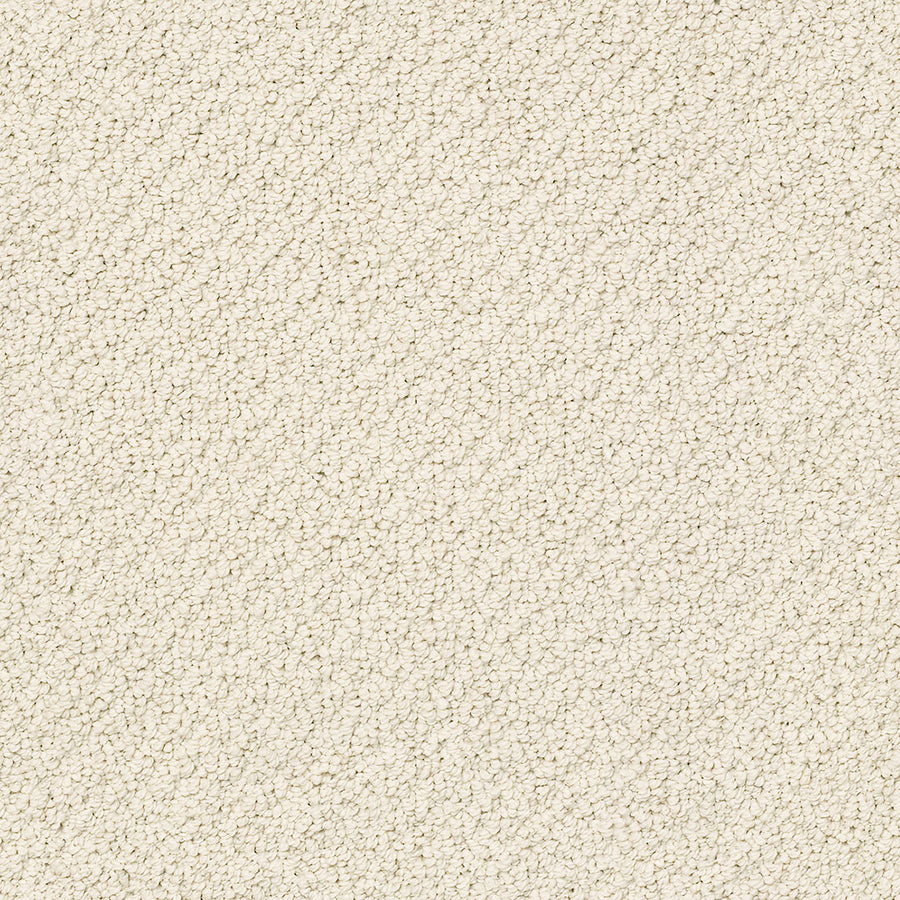 Smart Thinking Berber Carpet