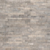 Silver Travertine Petite
