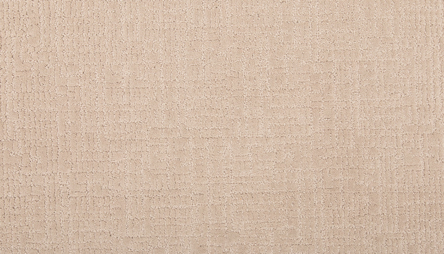 A close-up of Delicate Features Family Friendly Carpet, celebrated for its remarkable softness and outstanding stain resistance.