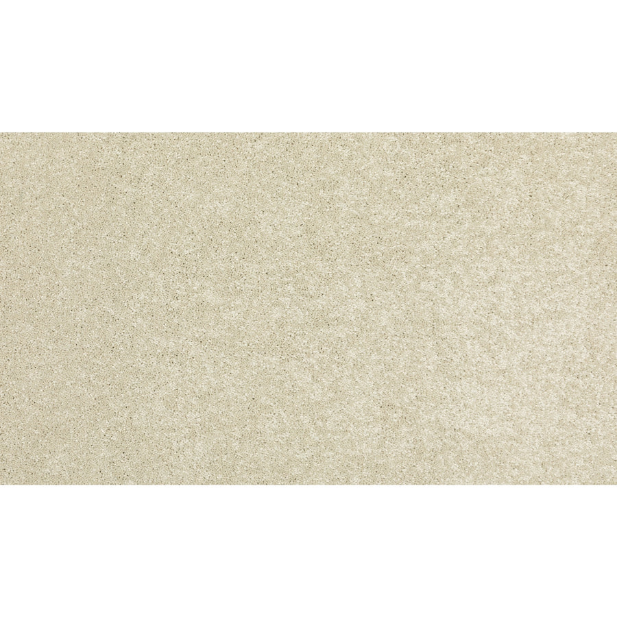 A close-up of a light beige, sandy textured surface evenly spread across the image, evoking the neutral tones of Timeless Values I Family Friendly Carpet.
