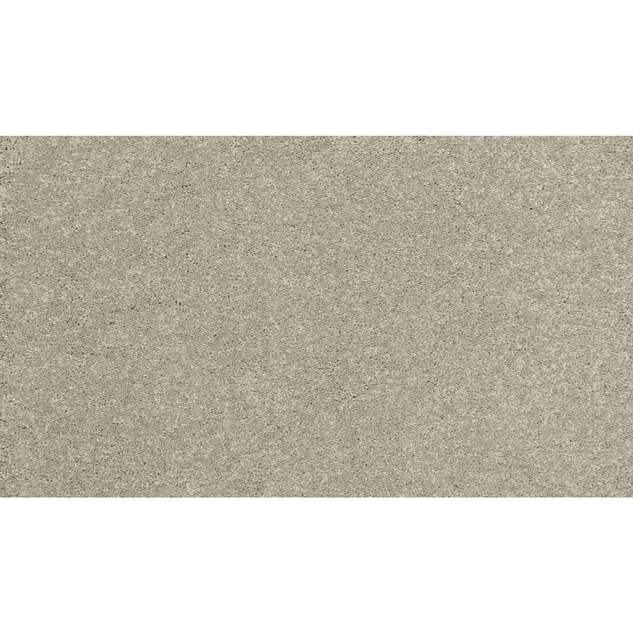 A close-up of a smooth, light grey concrete surface with fine texture and subtle speckles, reflecting the neutral tones featured in the Timeless Values I Family Friendly Carpet collection.
