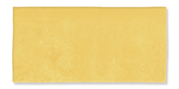 A single Fez 2.5x5 Subway Tile, featuring a smooth texture and even edges, is displayed on a white background.