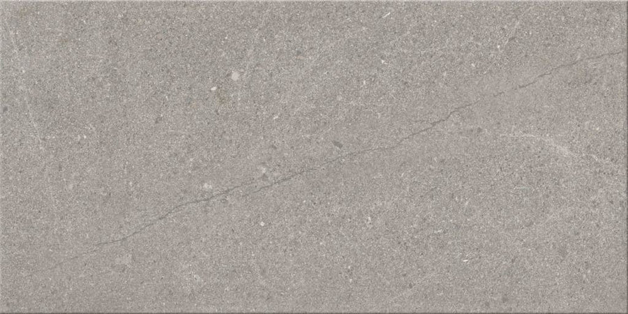 Sandwaves 24x48 Porcelain Tile: A rectangular gray porcelain tile with a subtle natural texture, faint white speckles, and thin diagonal veining—perfect for contemporary spaces.