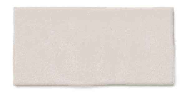 The Fez 2.5x5 Subway Tile is a rectangular, flat, light gray glazed ceramic tile with a smooth surface and slightly uneven edges, shown against a white background.
